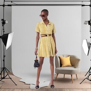 (donated) DVF Diane Von Furstenberg Jett Mini Animal Print Dress